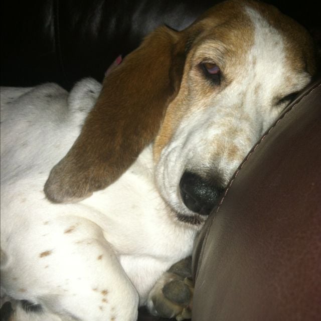 Carrie B.'s profile image