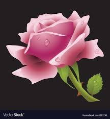 Karen L.'s profile image