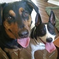 Tonya R.'s profile image