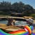 Limarie Ortiz's profile image