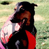 Jacobs's profile image