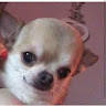 TyMyjia's profile image