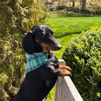 Jennifer Rogers's profile image