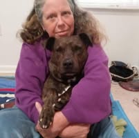 Julia C Sweitzer's profile image