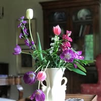 Sharon Blair Tolbert's profile image