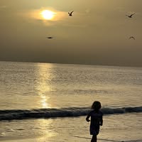 Cyndee Collins's profile image