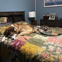 Linda Maria Schubbe's profile image