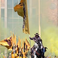 David Merz's profile image