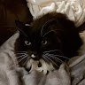 Carion's profile image