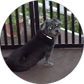 Rhonda Boffilo's Profile Image