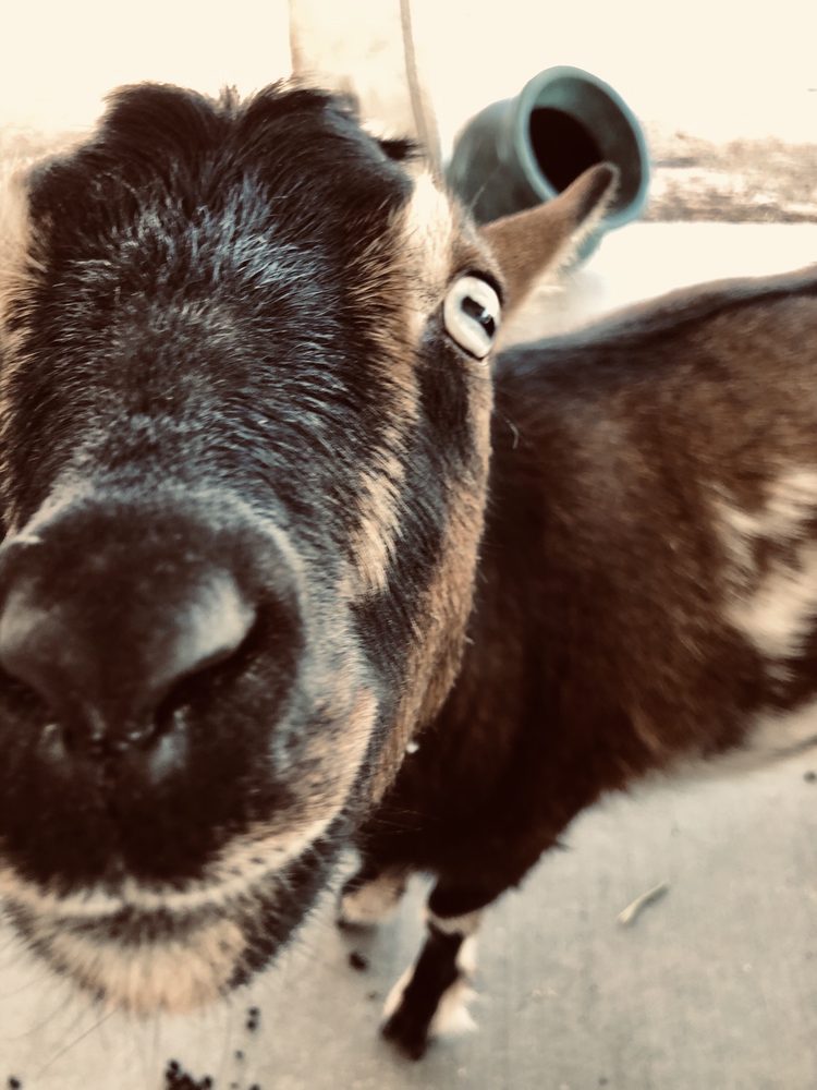 Keith N.'s profile image