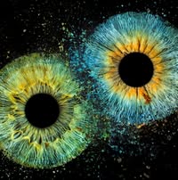 Stephanie Paige's profile image