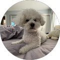 Jessica Marini's Profile Image