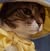 Rita Crum's profile image
