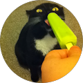up3vil's Profile Image