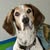 Mary Milam's Profile Image