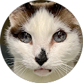 Profile Photo of stephanie g Jolly