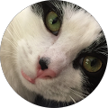 Profile Photo of Molly Fran