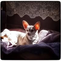 Jill Chunko's profile image