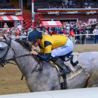 Jenny Shotwell's profile image