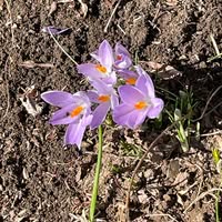 Pam Rusweiler's profile image