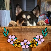 Janine Occhiuzzo's profile image