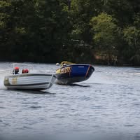 Juanita Petterson's profile image