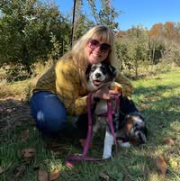 Jamie Smith's profile image