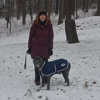 Linda Speake's profile image