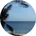 Richard Martin's Profile Image