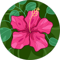 Profile Photo of Maria Toc