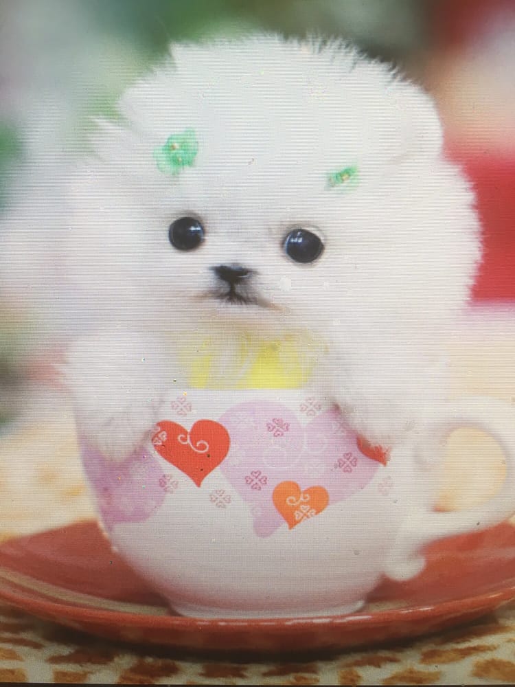 Kascade C.'s profile image