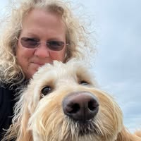 Deborah Hart's profile image