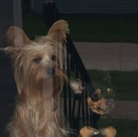 Vicki Thrasher's profile image