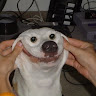 Allen L.'s profile image