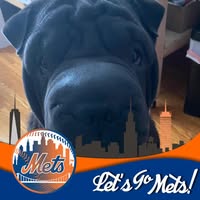 Kuby McCarty's profile image