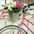 Elaine Skulina's profile image