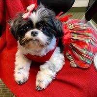 Kristen Keeth's profile image