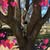 Pamela Jones's profile image