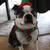 Mark D. Virak's profile image