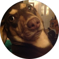 Kelly Figueroa's Profile Image
