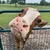 Kristin Burford's profile image