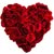 Sonia Rivera's profile image