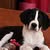 Lee Ann Beihl's profile image