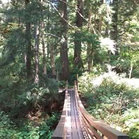 Rose Fraser's profile image