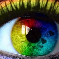 Sofia Bhm's profile image