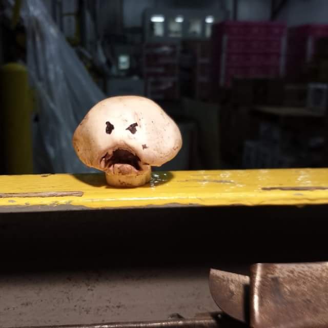 Mad P.'s profile image