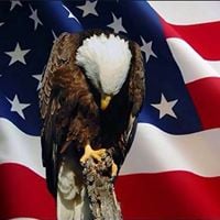 Michael S.'s profile image