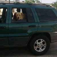 Blake D.'s profile image