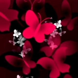 Zulma T.'s profile image